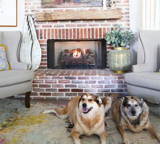 dogs resting before a fire in a brick fireplace